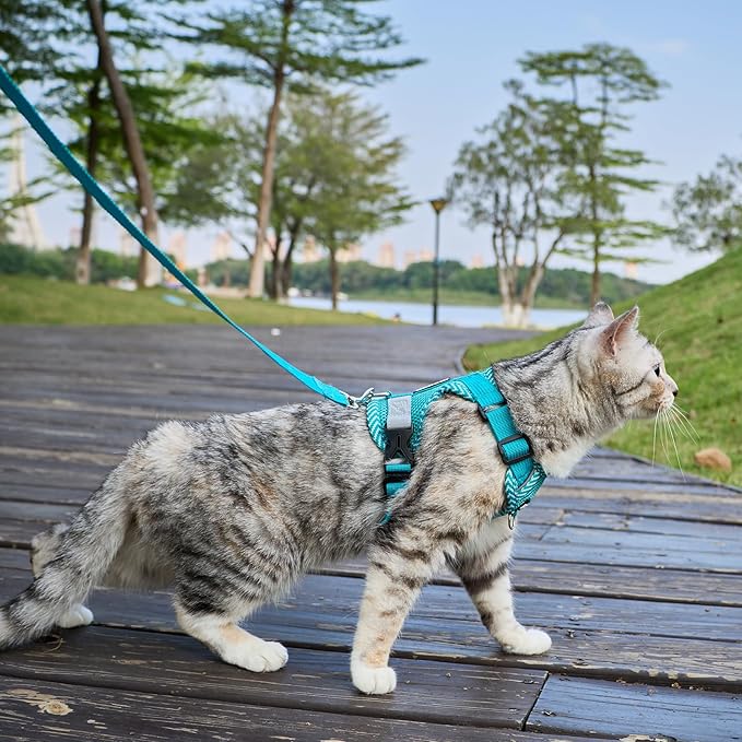 Cat Harness and Leash Escape Proof Extra Large Kitten Harness Maine Coon Cat Vest for Walking Travel, Turquoise, XL