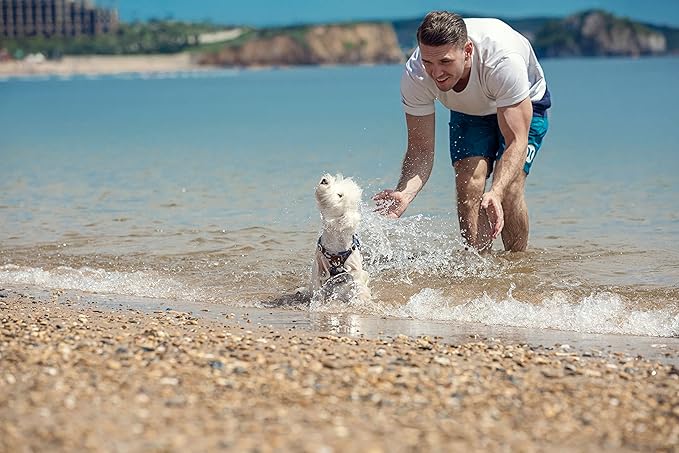 Dog Harness, No Pull Dogs Harness and Multi-Function Leash Set for Medium Dogs Easy Walk Everyday Adjustable Soft Dog Vest Harness Fashionable Dog Accessories Camouflage Blue-Button-M(16lb-35lb)