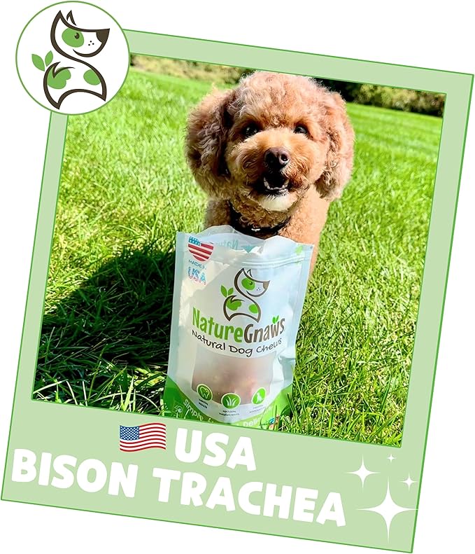 Nature Gnaws USA Smoked Bison Trachea Rings for Dogs (1Lb) – Delicious Grain Free Long Lasting Chew - Premium Natural Dog Chew Bones - Rawhide Free