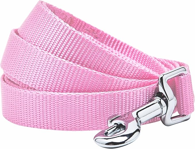 Blueberry Pet Essentials Durable Classic Dog Leash | Basic Nylon Dog Leash | 5ft. x 5/8" Small Dog Leash | Fuchsia Pink Dog Leash | Standard Dog Leashes & Lightweight Dog Leash for Training