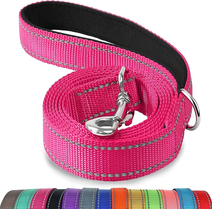 Joytale Double-Sided Reflective Dog Leash, 6 FT/5 FT/4 FT, Padded Handle Nylon Heavy Duty Leashes for Small & Medium Dogs Walking, Hotpink, 6FT