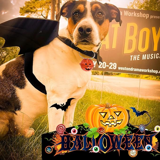 Dog Bat Wings Halloween Pet Costume 3PCS Funny Cat Dog Wings with Leash Pumpkin Jingle Bell Cosplay Bat Clothes for Small Medium Large Dogs Puppy Holiday Outfit Dress (X-Large)