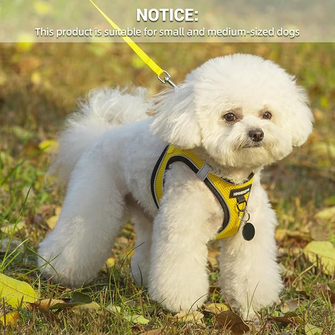 Dog Harness and Leash Set, Dog Harness for Dogs No Pull, No-Chock Step-in Reflective Breathable Lightweight Easy Walk Vest Harnesses with Safety Buckle for Small Medium Dogs, Cats (Yellow, L)