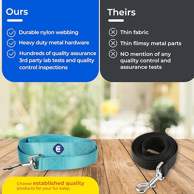 Blueberry Pet Essentials Durable Classic Dog Leash | Basic Nylon Dog Leash | 5ft. x 5/8" Small Dog Leash | Orange Vermilion Dog Leash | Standard Dog Leashes & Lightweight Dog Leash for Training