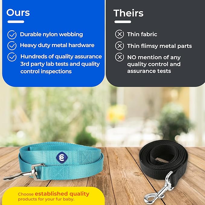 Blueberry Pet Essentials Durable Classic Dog Leash | Basic Nylon Dog Leash | 5ft. x 3/8" X-Small Dog Leash | Dark Orchid Dog Leash | Standard Dog Leashes & Lightweight Dog Leash for Training