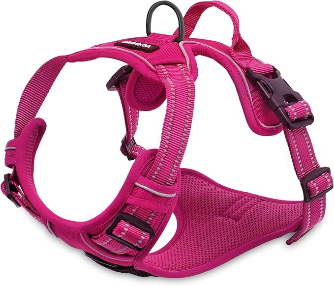 No Pull Dog Harness for Large Dogs, Dual Leash Attachments, Adjustable Soft but Strong Pet Harness with 3M Reflective Technology, Fuchsia Nylon, XS (Chest: 13-16")