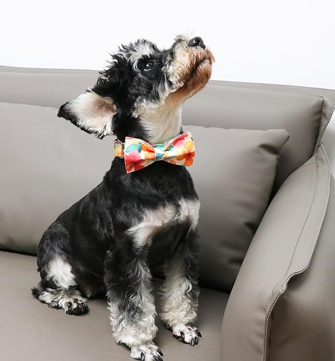 Unique Style Paws Cotton Dog Collar with Bow Floral Plaid Colorful Dog Collar with Bow Tie for Small Medium Large Dogs Pets Gifts