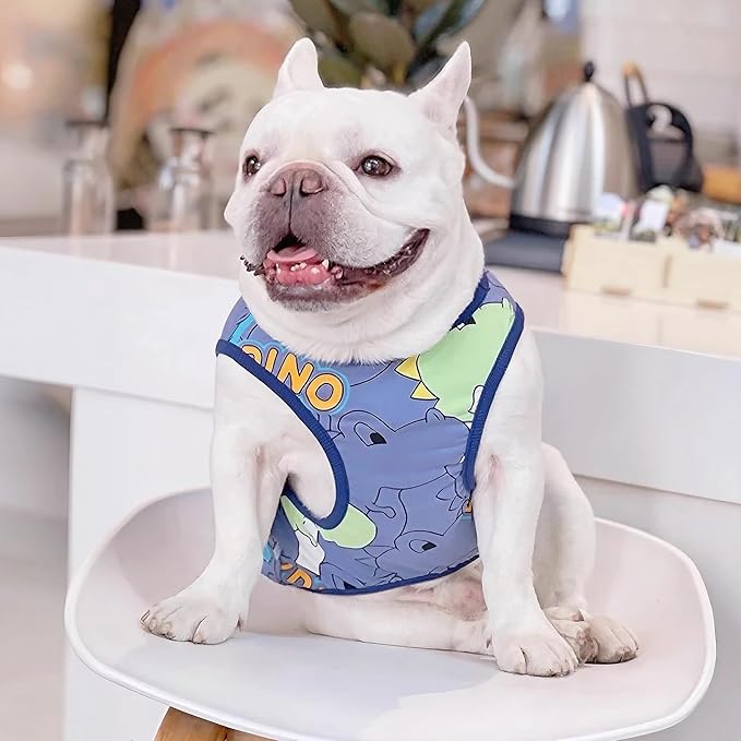 Frenchie Clothes Dog Shirts for Small Medium Dogs Boy, Cute French Bulldog Clothes Halloween Costume Sweatshirts, Funny Dinosaur Shirts for Dogs and Cats, Frenchie Chihuahua Corgi, Blue,XL