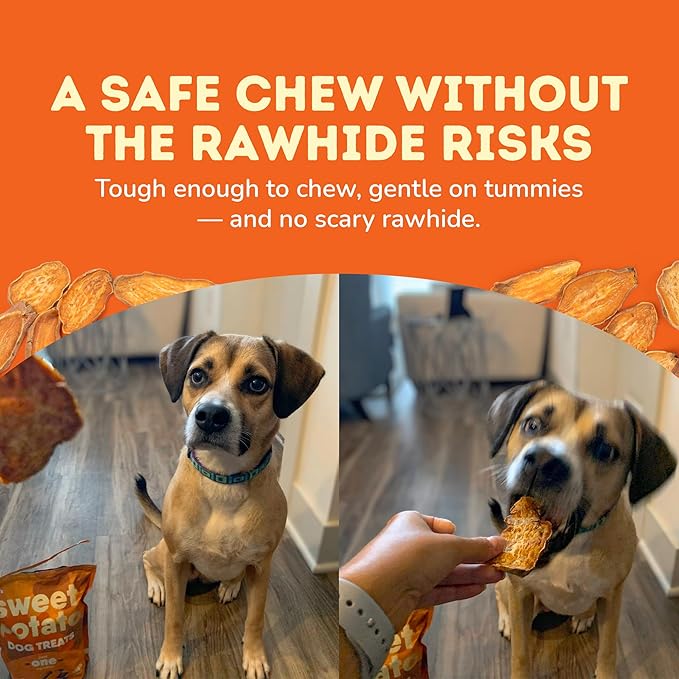 Davie's Sweet Potato Dog Treats - Healthy Treats Made in USA Only, Natural Treats, Healthy Dog Chews, Low Fat Treats, 1 lb. Bag