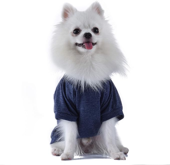 Star Wars for Pets Yoda "Judge Me by My Size, Do You?" Dog Tee | Star Wars Dog Shirt for Large Dogs | Size Large | Soft, Cute, and Comfortable Dog Clothing and Apparel