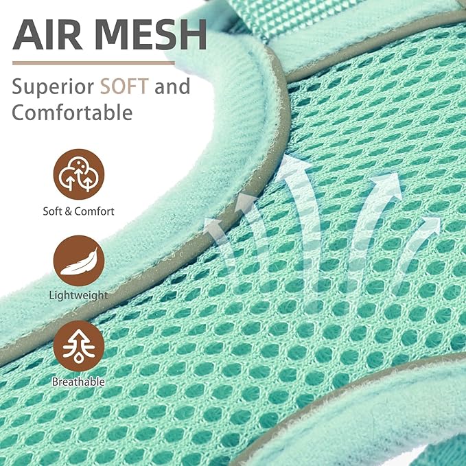 PUPTECK Dog Harness and Leash Set for Small Medium Dogs No Pull, Soft Mesh Adjustable Puppy Cat Harness Reflective at Night, Green M