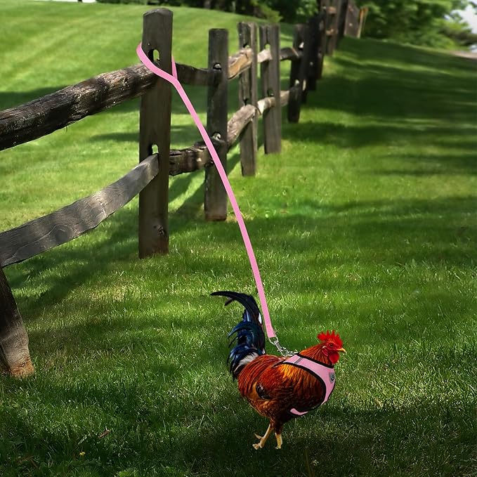 Adjustable Chicken Harness with Leash Small Pet Harness and Leash for Duck Hen Goose Walking, Pink (M)