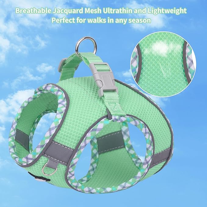 AIITLE Dog Harness and Leash Set - Ultra-Comfortable XXS-XL Vest with Strong Velcro & Glow-in-Dark Reflective Strips, Chafe-Free for Teddy, Schnauzer (Sage, M)