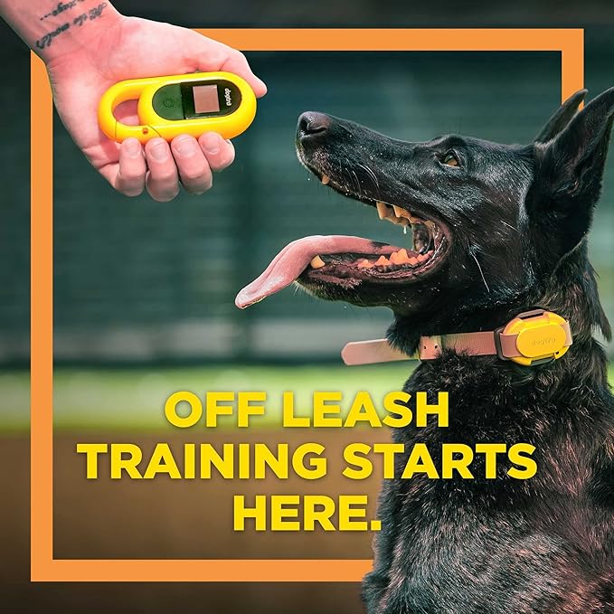 Dogtra CUE Remote Dog Training E-Collar for Small, Medium and Large Dogs - Range of 400 Yards, Waterproof, Vibrating, Rechargeable Correction Ecollar, 24 Training Levels, W/PetsTEK Clicker (1 Dog)