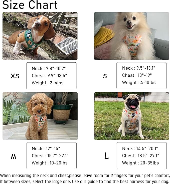 Dog Harness and Leash Set, Adjustable Dog Harness, Dog Leash, No Pull No Choke Puppy Harnesses for Walking Training for Small, Medium, Large Pet