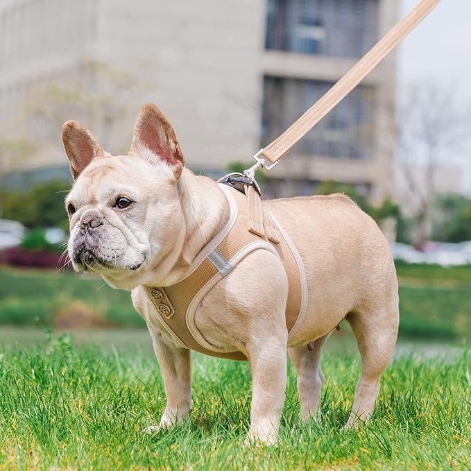 PUPTECK Dog Harness and Leash Set for Small Medium Dogs No Pull Step-in Soft Mesh Puppy Cat Vest Harnesses Reflective at Night, Denim Beige M