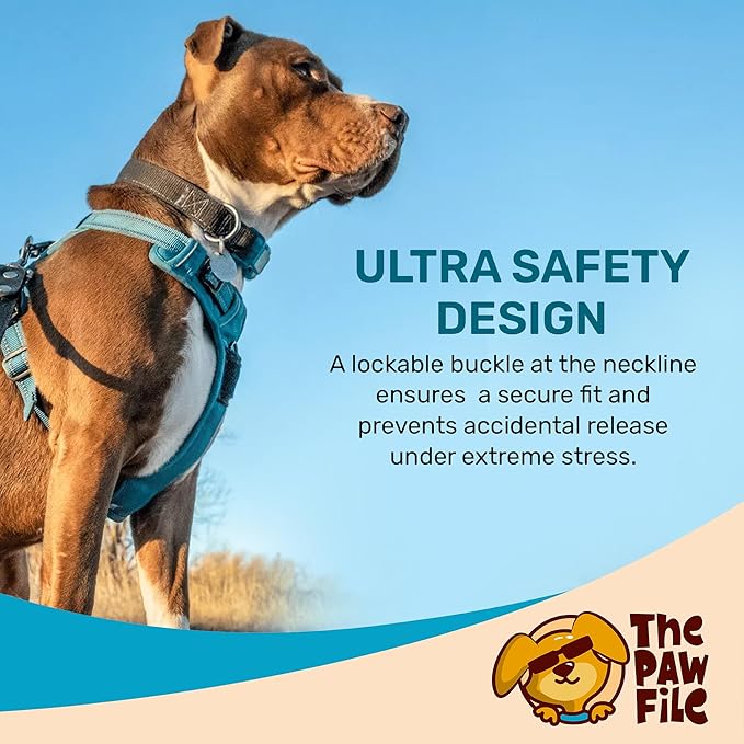 Dog Harness and Leash Set - No Pull Vest & Reflective Leash with Foam Handle, Adjustable Oxford Halter, for Walking & Training - Includes 150 Poop Bags & Bone-Shaped Dispenser - Blue, S