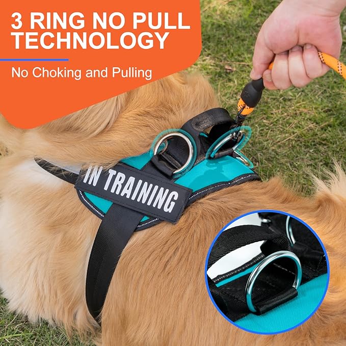 Essential Dog Harness, No Pull Pet Harness with 3 Side Rings for Leash Placement, No Choke, Reflective, Adjustable Pet Vest, Easy On-Off & Improved Control Handle, Training, Walking, Running