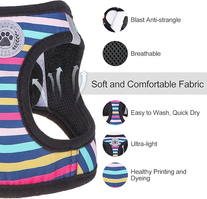 BEAUTYZOO Dog Harness and Leash Set for Small Dogs,No Pull Step-in Harness for Puppy XS S Sized Dogs and Cats,Air Mesh Adjustable Breathable Soft No Chock Escape Proof Vest Harnesses,Striped Teal XXS