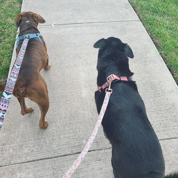 PUPTECK No Pull Dog Harness Soft Adjustable Basic Nylon Step in Puppy Vest Outdoor Walking with ID Tag SkyBlue