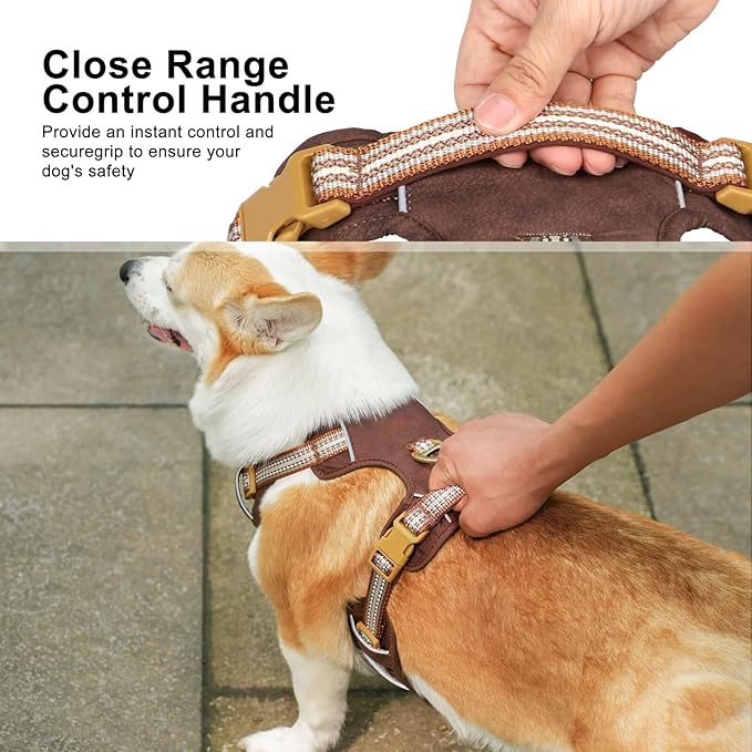 Beirui Dog Harness Medium Sized Dog, Stylish Oxford Leather Pet Vest with 2 Leash Clips, Adjustable Reflective Soft Padded No Pull Harness with Easy Control Handle for Walking, Chest 26-33"