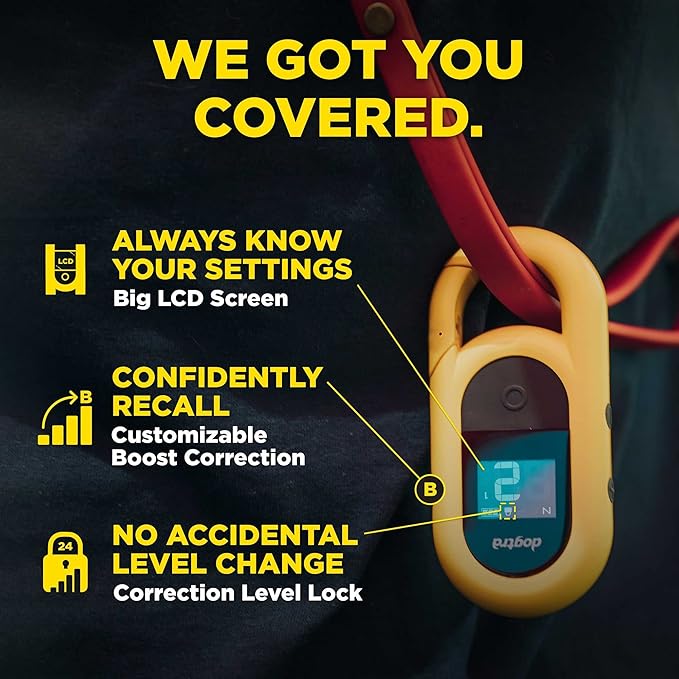 Dogtra CUE Remote Dog Training E-Collar for Small, Medium and Large Dogs - Range of 400 Yards, Waterproof, Vibrating, Rechargeable Correction Ecollar, 24 Training Levels, W/PetsTEK Clicker (1 Dog)