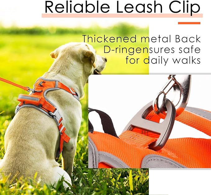ThinkPet No Pull Harness Set Breathable Sport Harness with Handle - Reflective Padded Dog Safety Vest with Reflective Neon Dog Leash L Harness Leash Pack Orange