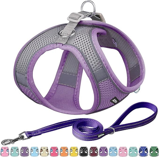 AIITLE Small Harness for Puppy with A Leash - Spring Dog Vest Harness with Super Breathable Mesh, Reflective No-Pull Pet Harness for Outdoor Walking, Camping for Small Dogs, Cats Purple XXS