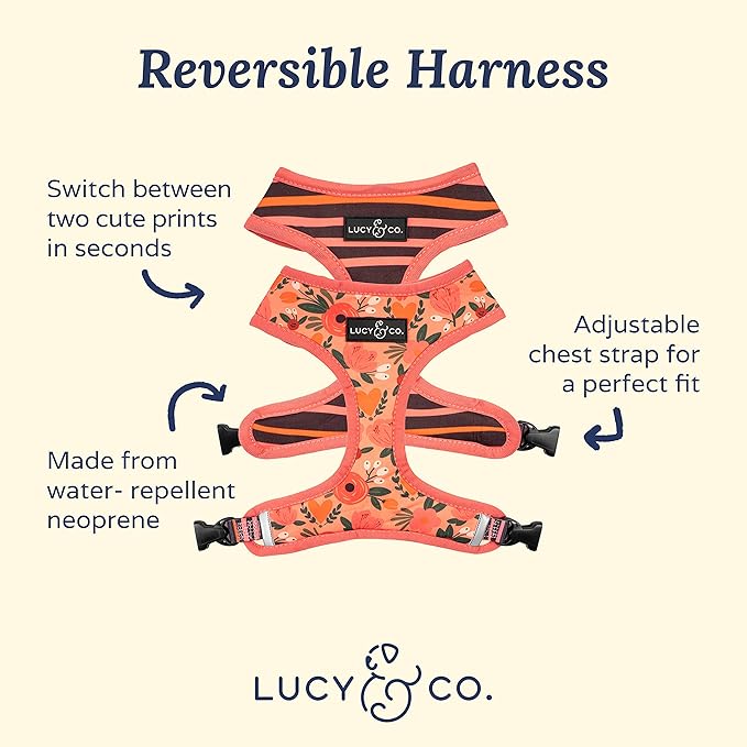 Lucy & Co Reversible Dog Harness | Soft and Padded for Comfort with Ability to Easily Switch Between Two Designer Prints | Adjustable Walking Harness (Large, Posy Pink)