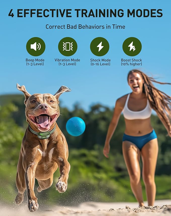 Jugbow Dog Shock Collar - 4200FT Dog Training Collar with Remote for 5-120lbs Small Medium Large Dogs, IPX8 Waterproof E Collar with 4 Training Modes, Security Lock, Rechargeable Shock Collar Green