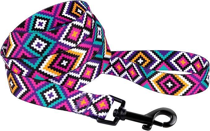 CollarDirect Aztec Dog Leash Nylon Tribal Pattern Cat Pet Leashes for Small Medium Large Dogs Puppy Lead 5 FT Long for Walking (Tribal Magenta, S)