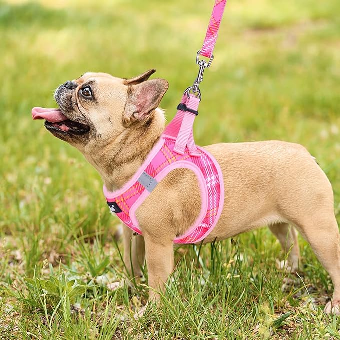 PUPTECK Dog Harness and Leash Set for Small Medium Dogs No Pull Step-in Soft Mesh Puppy Cat Vest Harnesses Reflective at Night, Plaid Pattern Pink XS