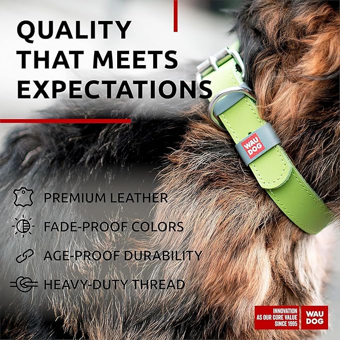 WAUDOG Long Lasting Leather Dog Collar for Large Dogs, Medium & Small Dogs - Adjustable Classic Puppy Collars for Large Breed Dogs - Boy & Girl Dog Collars with Durable Buckle, D-Ring & QR Dog Tag