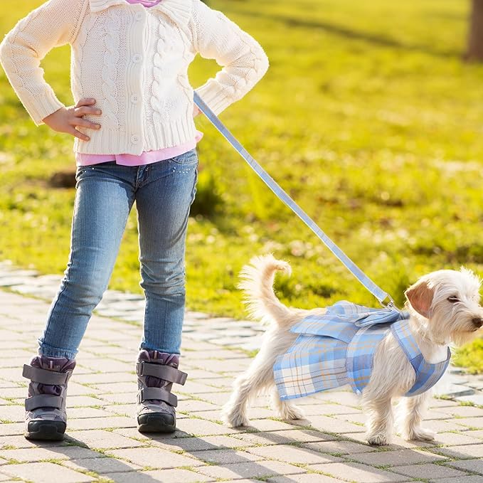 4 Pcs Cute Plaid Dog Dress Set with Bow Tie Harness & Leash for Small Dogs, Puppy Clothes for Girls Summer Outfits(S,Light Color)