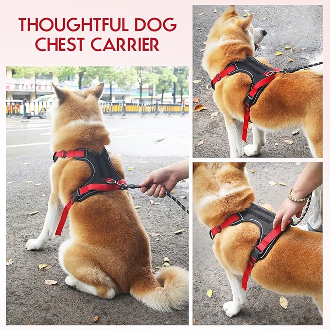 Dog Harness Adjustable Reflective Easy Control for Medium/Large Dog Harness with A Free Heavy Duty 5ft Dog Leash (L (Neck: 18,5"-25", Chest: 21"-27.9")(red, Large)
