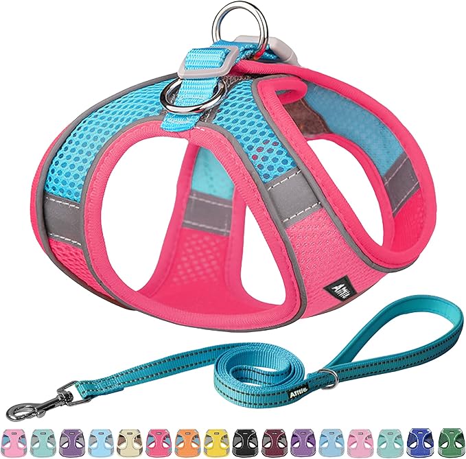 Aiitle Easy Walk Dog Harness and Leash Set - Pet Supply No Pull, Step in Adjustable Dog Harness with Padded Vest for Medium Dogs, Hot Pink