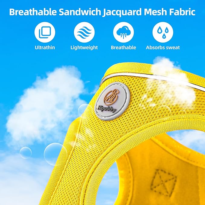 Dog Harness and Leash Set, No Pull Soft Mesh Pet Harness for Small Medium Dogs, Cats - Step in Adjustable Reflective Puppy Harness with Buckle and Double D-Rings - Yellow, XXS