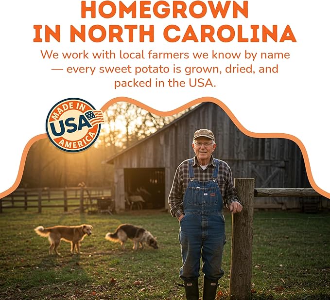 Davie's Sweet Potato Dog Treats - Healthy Treats Made in USA Only, Natural Treats, Healthy Dog Chews, Low Fat Treats, 1 lb Bag - Pack of 2