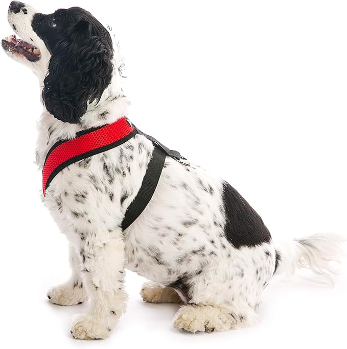 Gooby Comfort X Head In Harness - Red, X-Large - No Pull Small Dog Harness, Patented Choke-Free X Frame - Perfect on the Go Dog Harness for Medium Dogs No Pull or Small Dogs for Indoor and Outdoor Use