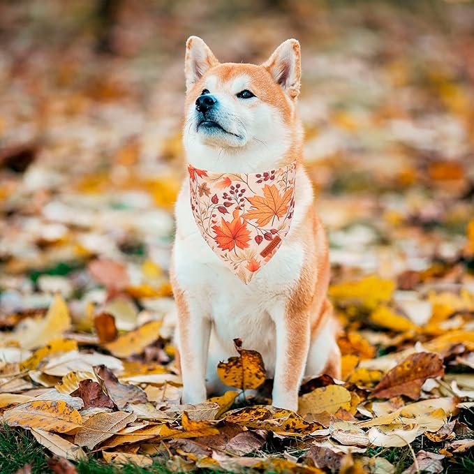ADOGGYGO Fall Dog Bandana, Pumpkin Maple Leaf Autumn Thanksgiving Pet Scarf, Adjustable Fit Fall Bandanas for Medium Large Dogs Pets (Large)
