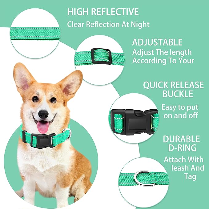 Reflective Dog Collar with Safety Locking Buckle, Adjustable Soft Breathable Nylon Collars for Small, Medium and Large Dogs(Collar+Leash XL Turquoise)