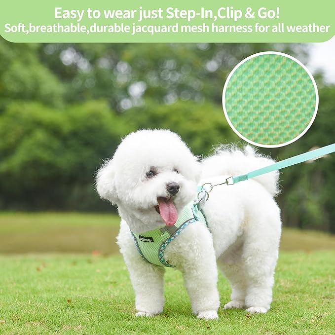 AIITLE Teacup Puppy Harness with Leash - Adjustable Soft Vest with Magic Velcro & Reflective Safety Strips, Easy-Put-On for Poodles, Pomeranians - Gym, Hiking, Travel (Sage, S)