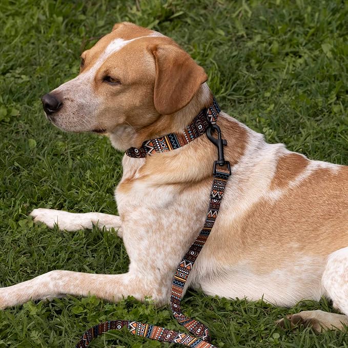 CollarDirect Aztec Dog Leash Nylon Tribal Pattern Cat Pet Leashes for Small Medium Large Dogs Puppy Lead 5 FT Long for Walking (Aztec Sunset, L, New)