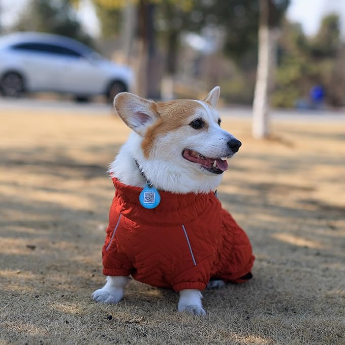 Lovelonglong Warm Dog Coat Double Layers Dog Vest, 4 Legs Covered Windproof Waterproof Reflective Warm Dog Vest Outdoor Skating Dog Costume for Corgis Dachshund Dog Orange D-S