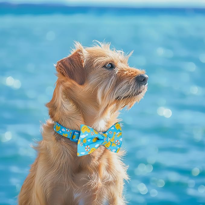 azuza Dog Collar with Bow Tie, Soft and Comfortable Adjustable Bowtie Dog Collar for Medium Dogs (M, Yellow Duck)