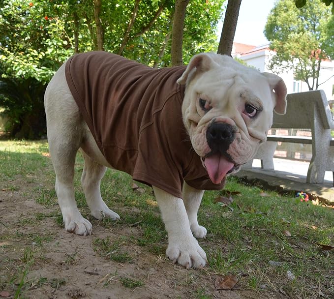 Lovelonglong Bulldog Clothes Dog Clothing Blank T-Shirt Tee Shirts for French Bulldog English Bulldog American Pit Bull Pugs 100% Cotton Skin Care Coffee B-XL