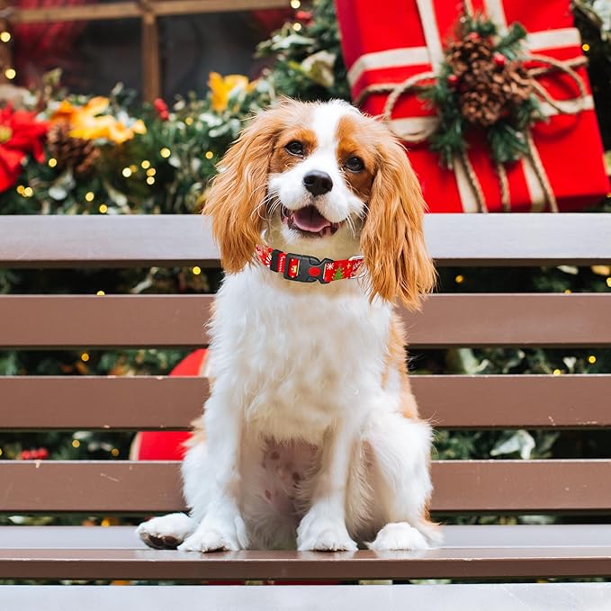 Christmas Floral Dog Collar for Small Medium Large Dogs,Girl Female Dog Collars Soft Patterns Adjustable Pet Collar with Quick Release Safety Buckle for Puppy Breed Boy Dogs,Christmas,S