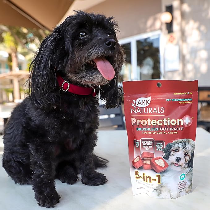 ARK NATURALS Protection+ Brushless Toothpaste, Dog Dental Chews for Mini Breeds, Prevents Plaque & Tartar, Freshens Breath, 4oz, 2 Pack