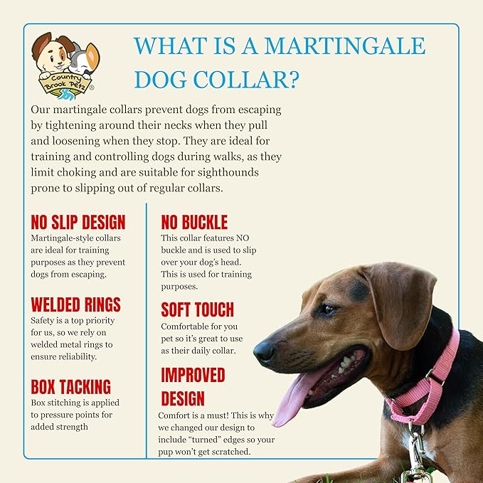 Country Brook Petz Martingale Dog Collar - Heavy-Duty Training Collar with No Buckle - Service Dog Collar for All Pups - Vibrant, Colorful Collection (Pink, 3/8 Inch, 3XS)