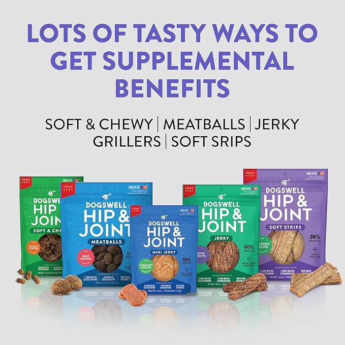DOGSWELL 842190 Hip & Joint Beef Jerky Pet Food, 10 Oz